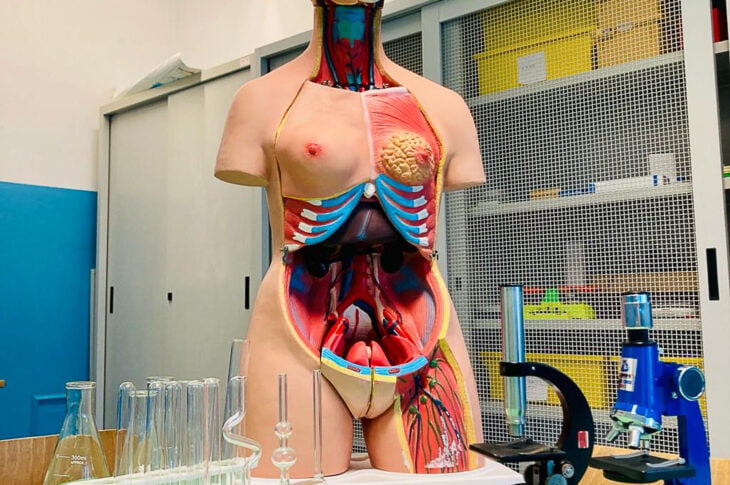 LAB SCIENZE 3