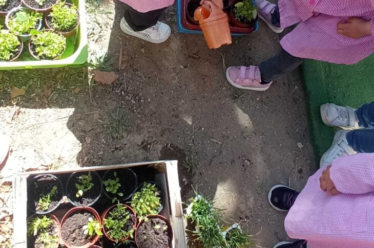 LAVORI IN GIARDINO
