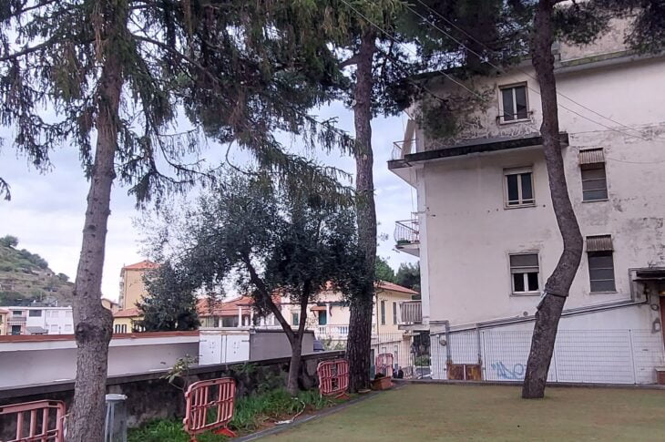 alberi del giardino