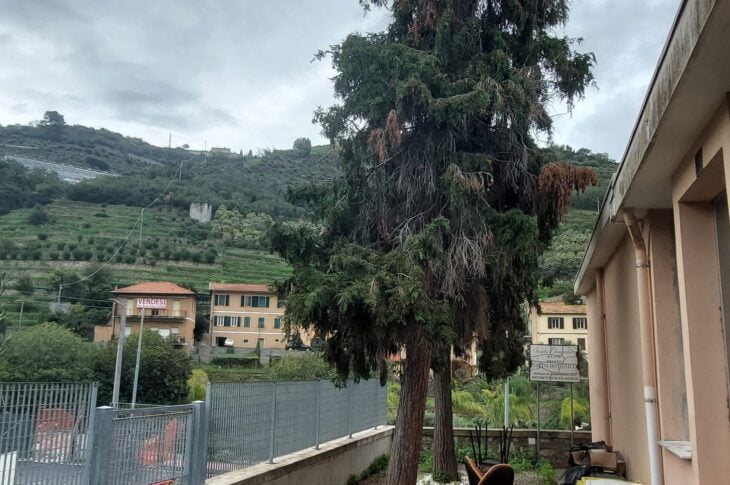 giardino lato nord